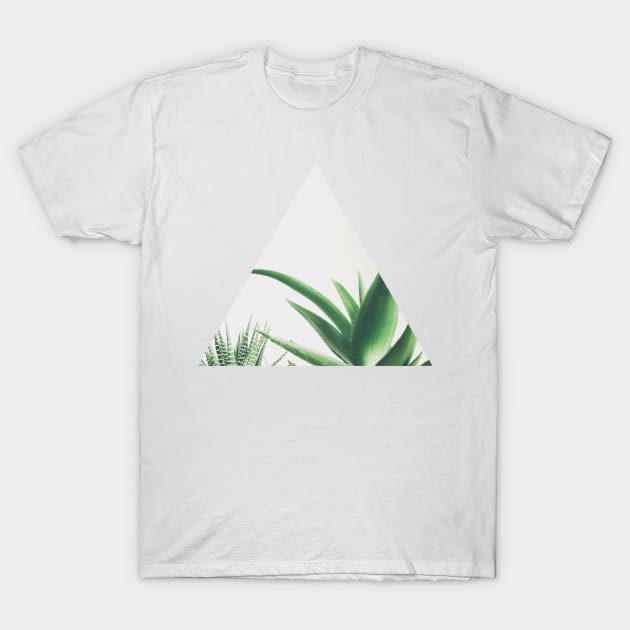 Succulents T-Shirt by Cassia